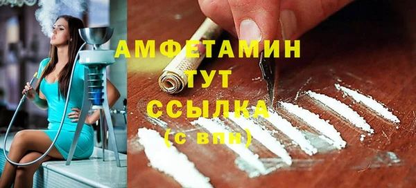 трава Ельня