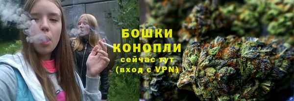 трава Ельня