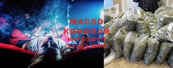 трава Ельня