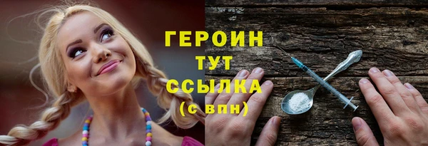 трава Ельня