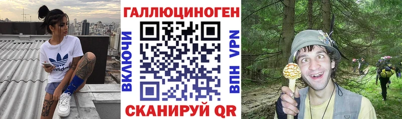 купить закладку Куса Галлюциногенные грибы Psilocybe